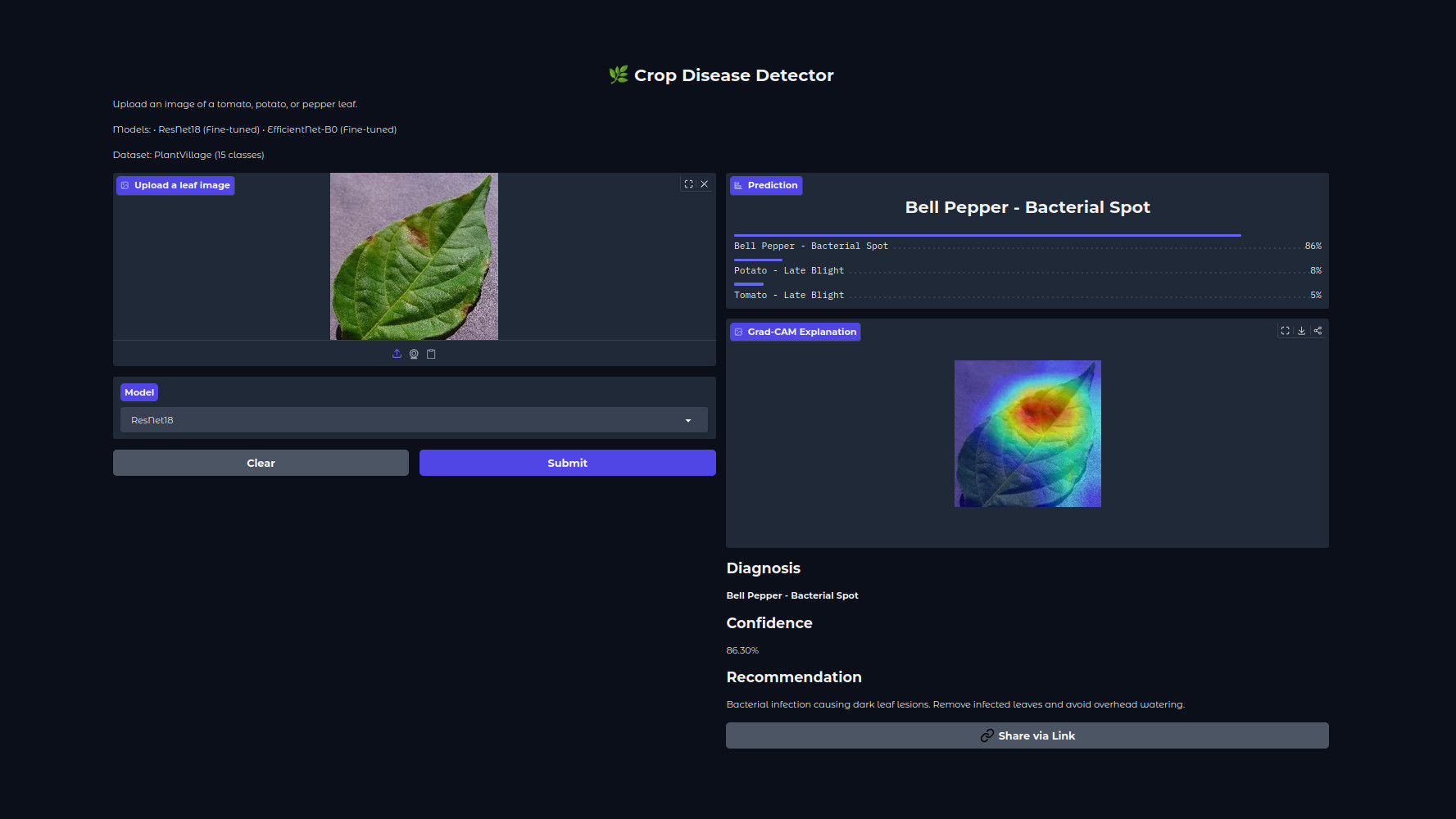 Crop disease detector predicting bacterial spot on a pepper leaf with a Grad-CAM heatmap
